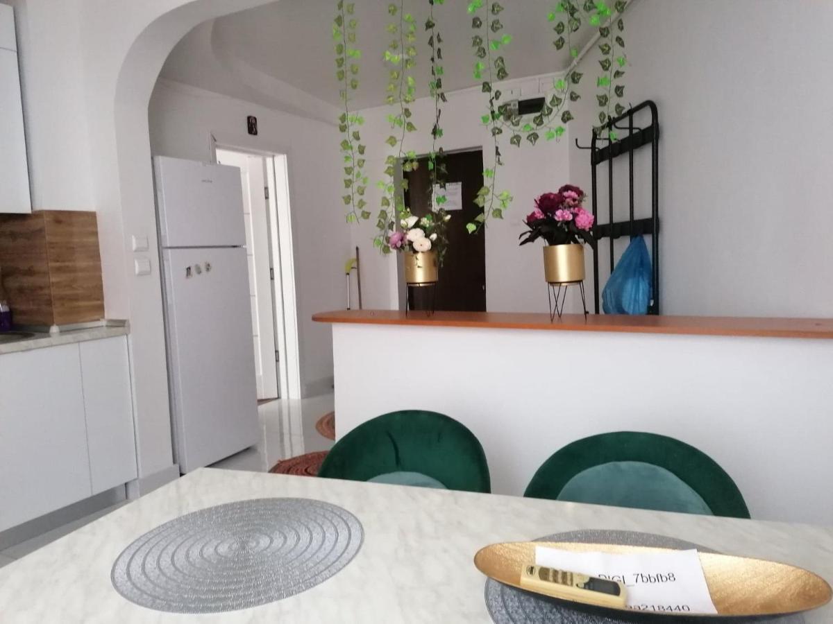 Apartament Near The Park Two Rooms 布加勒斯特 外观 照片