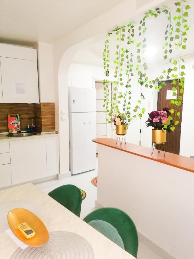 Apartament Near The Park Two Rooms 布加勒斯特 外观 照片