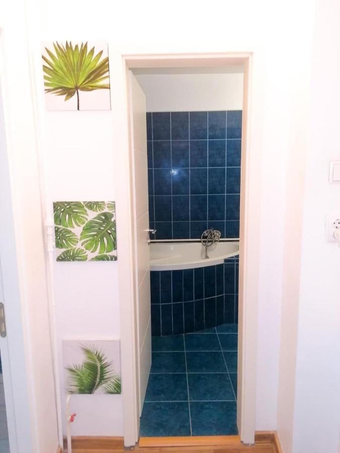 Apartament Near The Park Two Rooms 布加勒斯特 外观 照片
