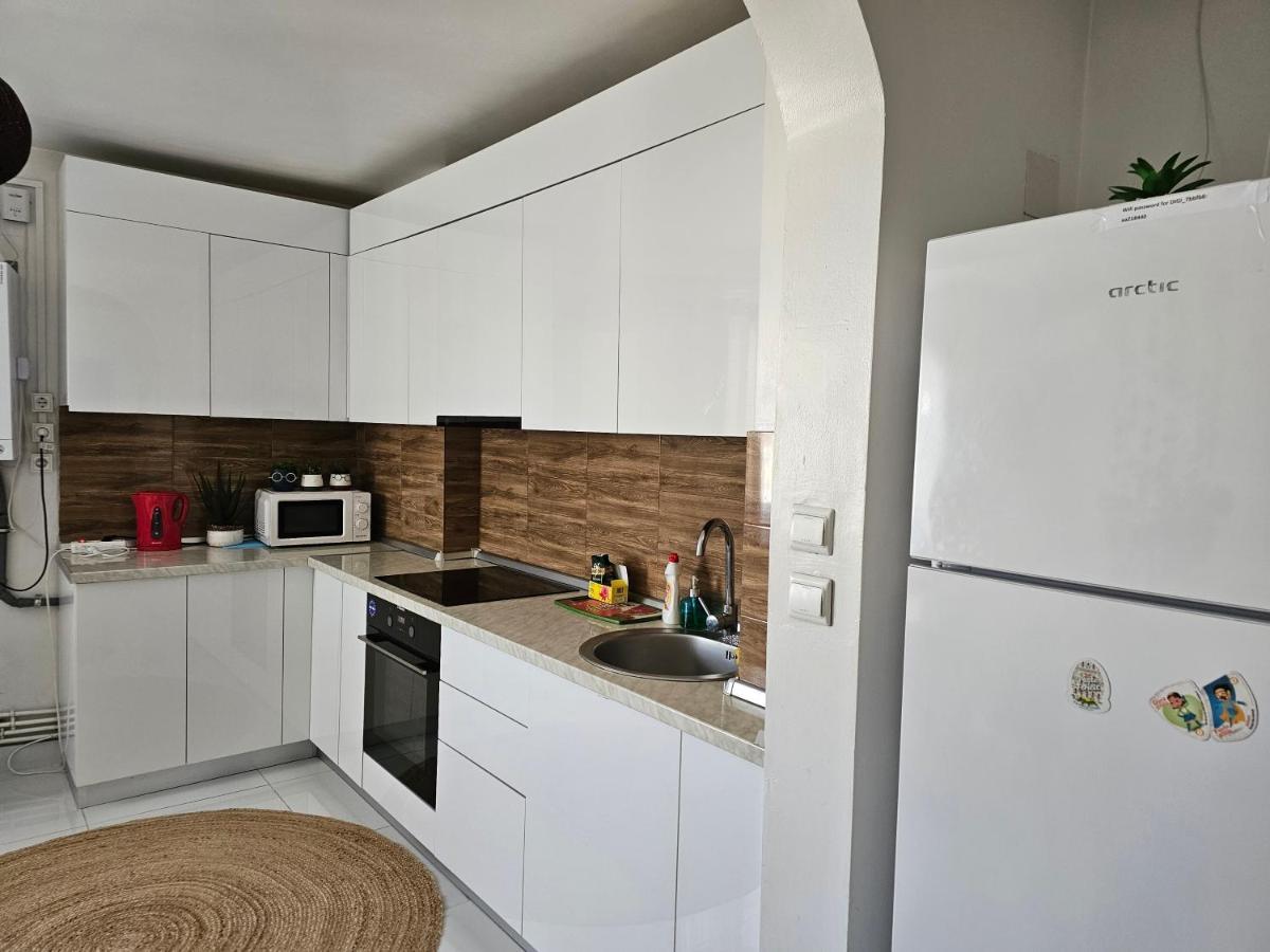 Apartament Near The Park Two Rooms 布加勒斯特 外观 照片
